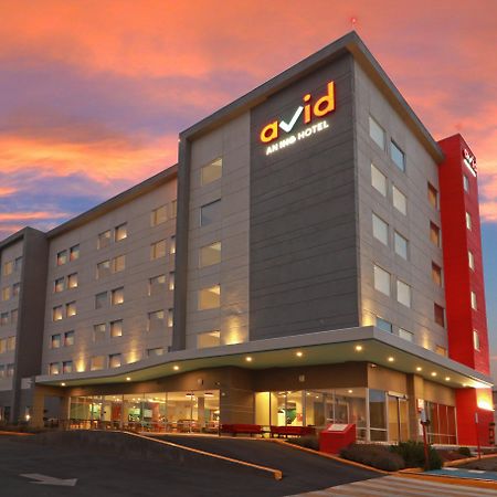 Avid Hotel - Fresnillo By Ihg Fresnillo de González Echeverría Bagian luar foto